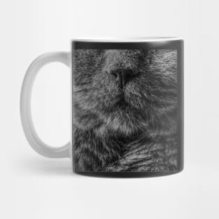 Persian cat Mug